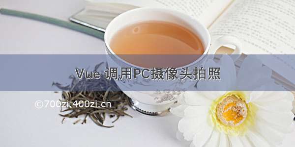 Vue 调用PC摄像头拍照