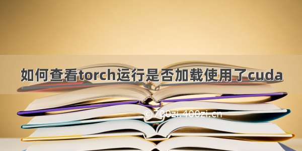 如何查看torch运行是否加载使用了cuda