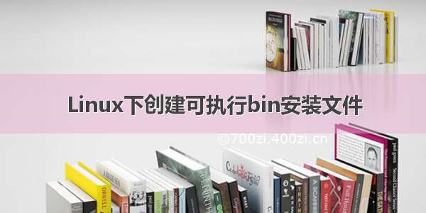 Linux下创建可执行bin安装文件