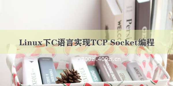 Linux下C语言实现TCP Socket编程