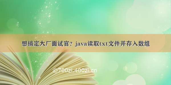 想搞定大厂面试官？java读取txt文件并存入数组