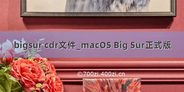 bigsur cdr文件_macOS Big Sur正式版