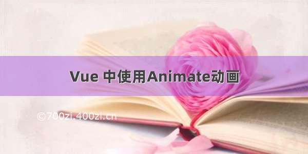 Vue 中使用Animate动画