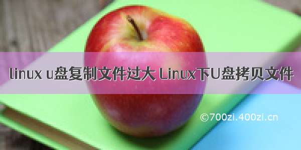 linux u盘复制文件过大 Linux下U盘拷贝文件