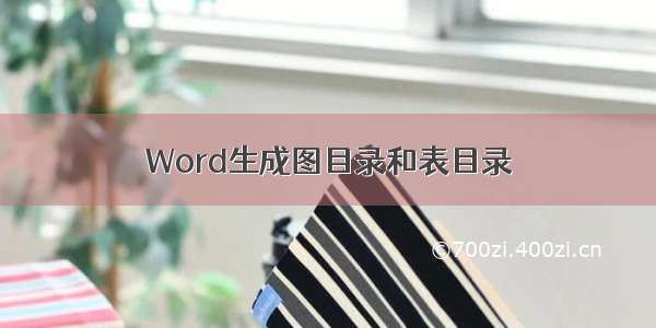 Word生成图目录和表目录