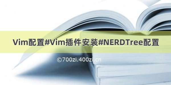 Vim配置#Vim插件安装#NERDTree配置