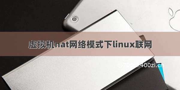 虚拟机nat网络模式下linux联网