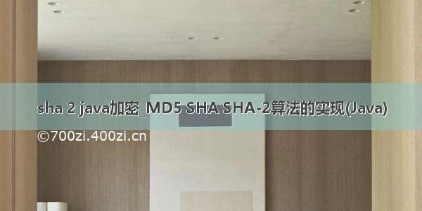 sha 2 java加密_MD5 SHA SHA-2算法的实现(Java)