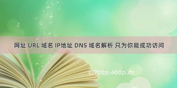 网址 URL 域名 IP地址 DNS 域名解析 只为你能成功访问