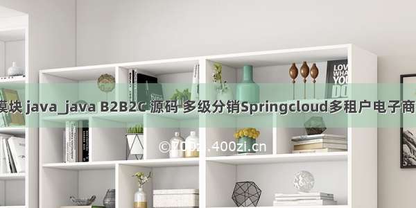 多级分销模块 java_java B2B2C 源码 多级分销Springcloud多租户电子商城系统- 整