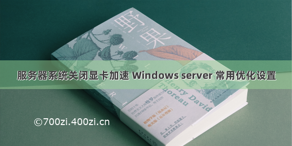 服务器系统关闭显卡加速 Windows server 常用优化设置