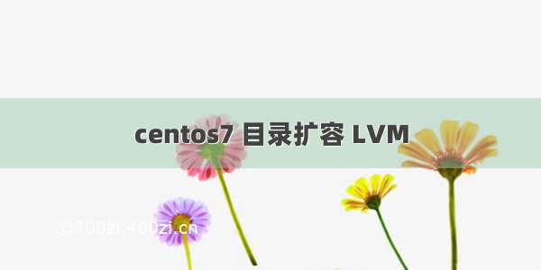 centos7 目录扩容 LVM