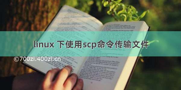 linux 下使用scp命令传输文件