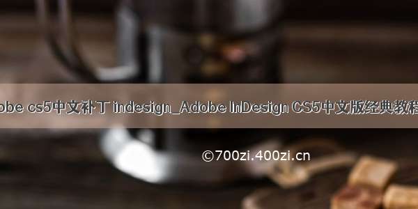 adobe cs5中文补丁 indesign_Adobe InDesign CS5中文版经典教程