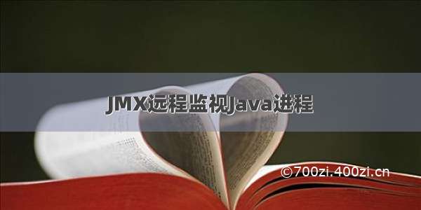 JMX远程监视Java进程