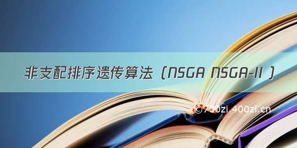 非支配排序遗传算法（NSGA NSGA-II ）
