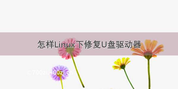 怎样Linux下修复U盘驱动器