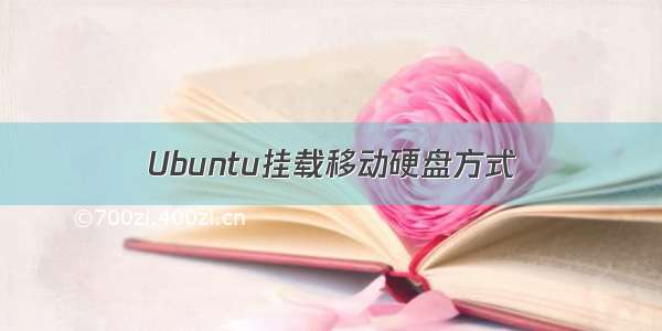 Ubuntu挂载移动硬盘方式