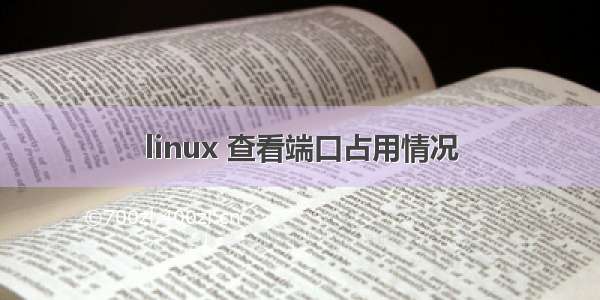 linux 查看端口占用情况