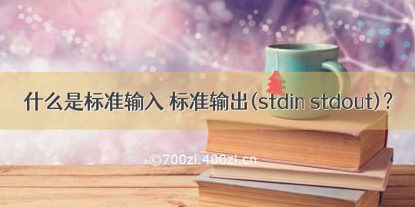 什么是标准输入 标准输出(stdin stdout)？