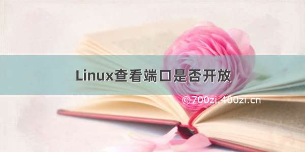 Linux查看端口是否开放