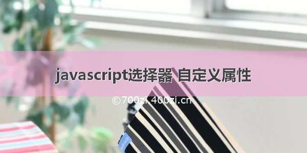 javascript选择器 自定义属性