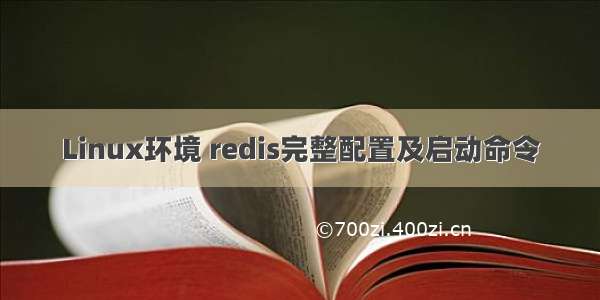 Linux环境 redis完整配置及启动命令