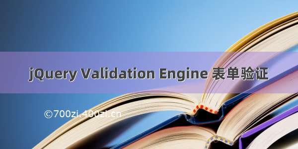 jQuery Validation Engine 表单验证