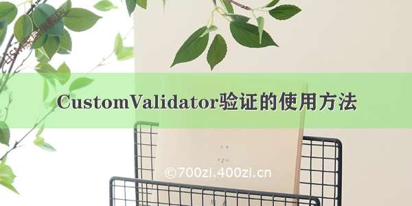 CustomValidator验证的使用方法