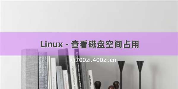 Linux - 查看磁盘空间占用