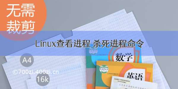 Linux查看进程 杀死进程命令