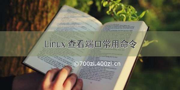 Linux 查看端口常用命令