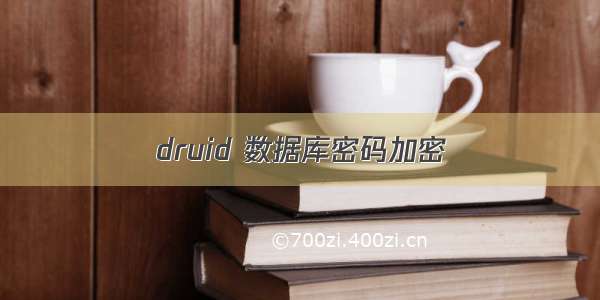 druid 数据库密码加密