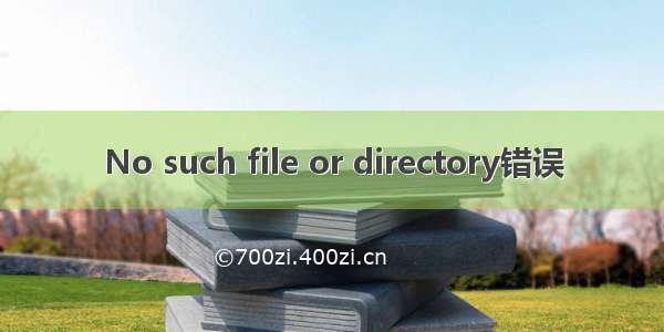 No such file or directory错误