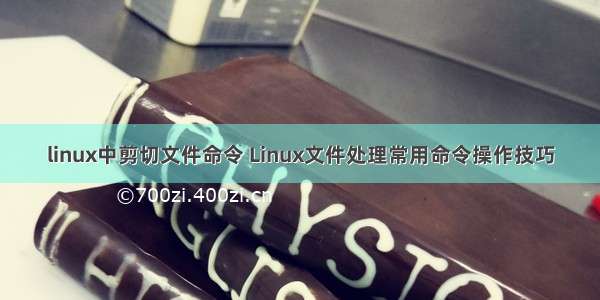 linux中剪切文件命令 Linux文件处理常用命令操作技巧