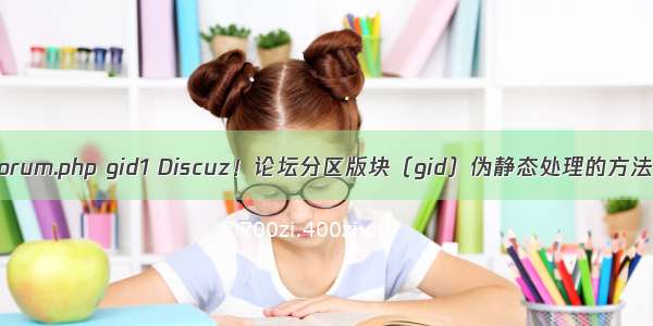 forum.php gid1 Discuz！论坛分区版块（gid）伪静态处理的方法