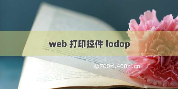 web 打印控件 lodop