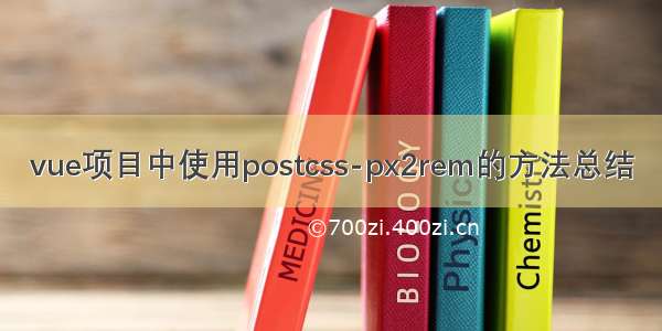 vue项目中使用postcss-px2rem的方法总结