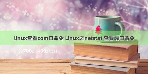 linux查看com口命令 Linux之netstat 查看端口命令