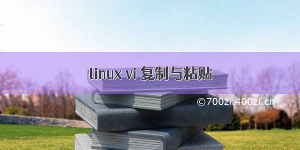 linux vi 复制与粘贴