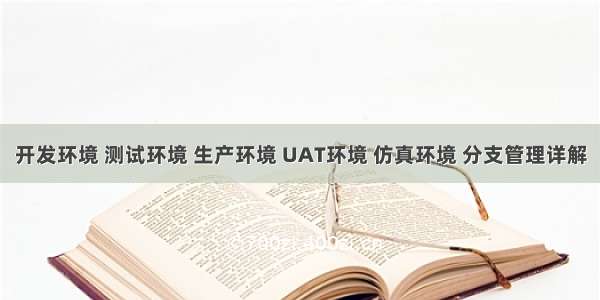 开发环境 测试环境 生产环境 UAT环境 仿真环境 分支管理详解