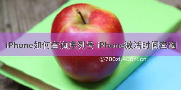 iPhone如何查询序列号 iPhone激活时间查询