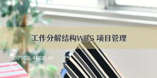 工作分解结构WBS 项目管理