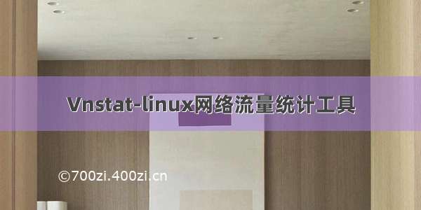 Vnstat-linux网络流量统计工具