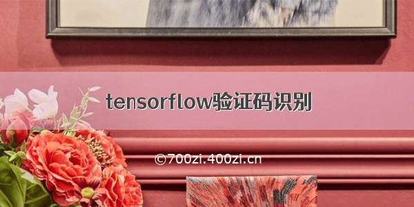 tensorflow验证码识别