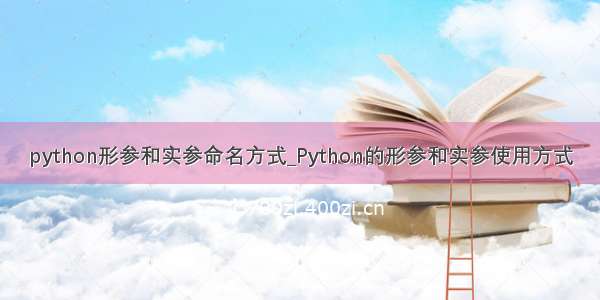 python形参和实参命名方式_Python的形参和实参使用方式