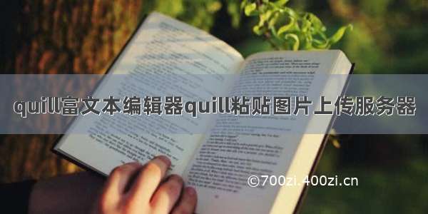 quill富文本编辑器quill粘贴图片上传服务器