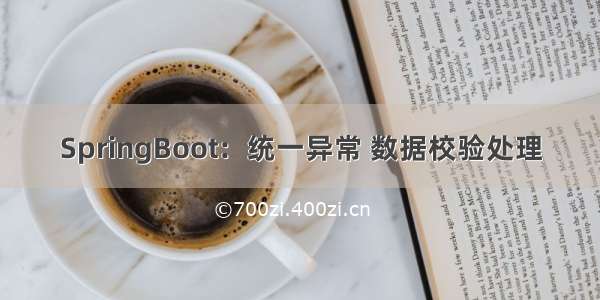 SpringBoot：统一异常 数据校验处理