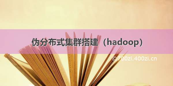 伪分布式集群搭建（hadoop）