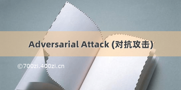 Adversarial Attack (对抗攻击)